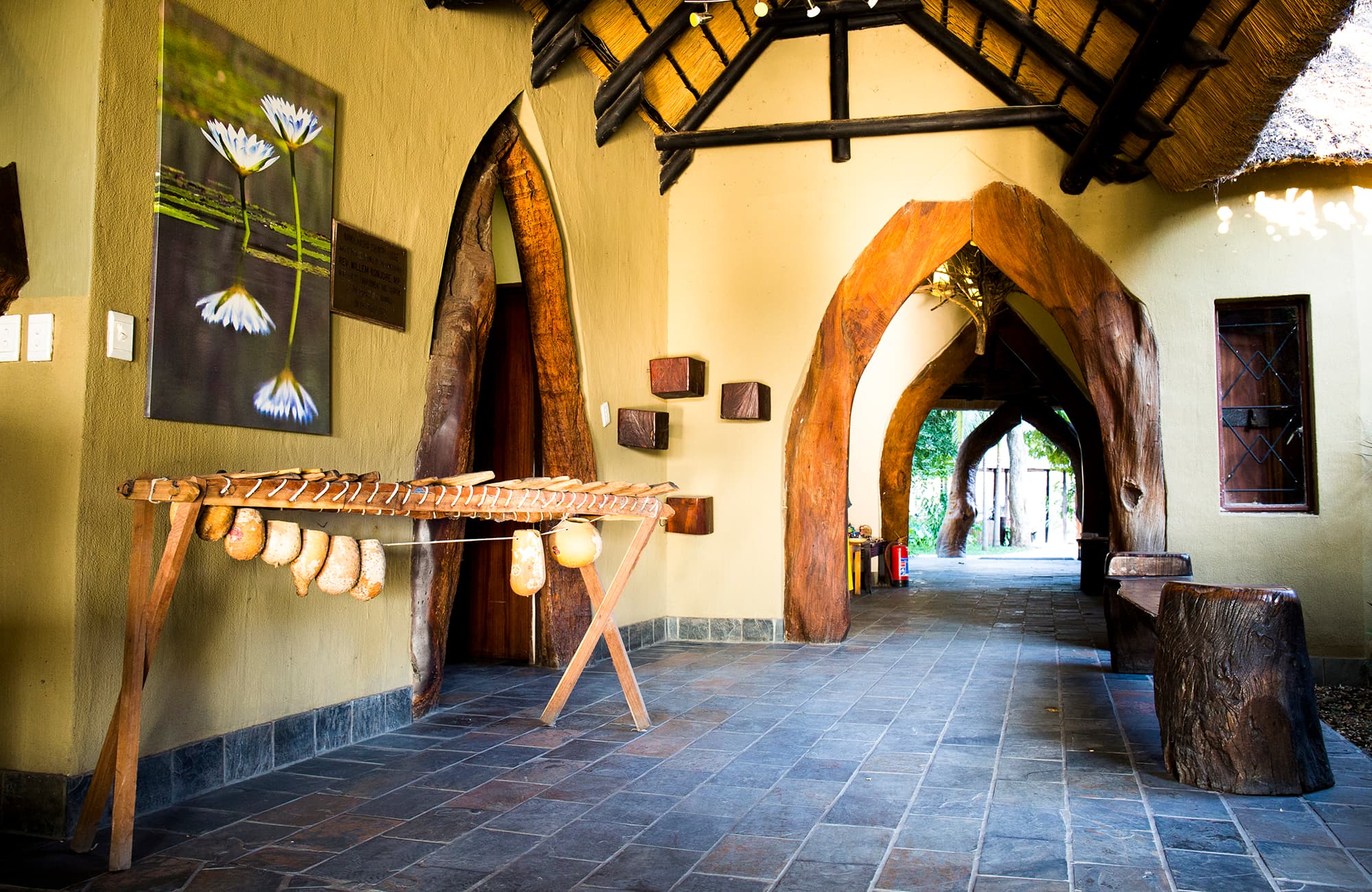 Namushasha River Lodge thumbnail 5